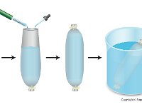 Dialysis Experimental Design : dialysis, tubing