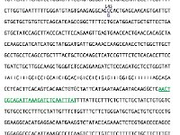 DNA Code : dna, code