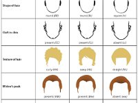 Facial Traits table 1  dominant, hybrid, recessive, face, chin, hair, widow's peak, eyes : dominant, hybrid, recessive, face, chin, hair, widow's peak, eyes