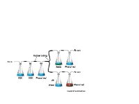 Experimental Design of Effects of KDH Gas on Pea Seeds  potassium hydroxide, water, phenol red, pea seens, air, gas : potassium hydroxide, water, phenol red, pea seens, air, gas