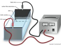 Gel Electrophoresis  electrode, buffer, wire, power supply, voltage : electrode, buffer, wire, power supply, voltage