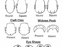 Phenotypes of Different Facial Features  shape, chin shape, cleft chin, widows peak, eye shape, eye slantedness : shape, chin shape, cleft chin, widows peak, eye shape, eye slantedness