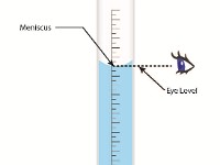 Meniscus  liquid, bubble, level, volume, measure, eye, graduated, cylinder, buret