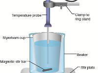 Calorimeter  temperature, heat, stir bar, joule, energy, beaker, ring stand, clamp, probe, bomb, calorimetry