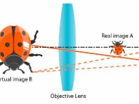Compound Lens  lens, image, real image, virtual image, subject, eye, sight, object, objective lens