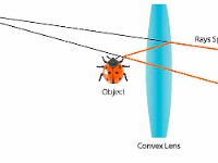Convex Lens  lens, image, object, virtual, real, ray