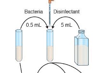 Disinfection Experiment  experiment, control, colony, bacteria, time, petri dish, disinfectant