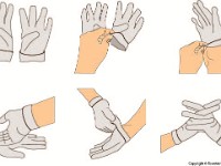 Donning Sterile Gloves  sterile, glove, closed glove, open glove, handle, contaminate : sterile, glove, closed glove, open glove, handle, contaminate