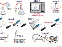 Electrophoresis  agarose, gel, separate, molecular weight, process, PCR, DNA, protein