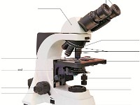 Microscope With Lines  microscope, analyze, laboratory, plate, optical, biology, petri dish