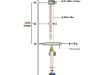 Luminol Setup  tube, spiral, ring stand, thermometer, luminescence, hemoglobin, react, Bunsen burner