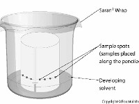 Paper Chromatography  separate, thin layer chromatography, solvent, dots, vapor