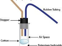 Respirometer 2  aerobic, anaerobic, respiration, oxygen, seeds, beads, cotton, potassium hydroxide