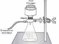 Vacuum Filtration Apparatus  Buchner funnel, filtration, clamp, water, filter paper, adapter, erlenmeyer flask